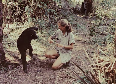 Dr. Jane Goodall